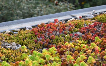 the cost of Woodmanton green roof installation