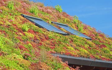 Woodmanton living roof systems