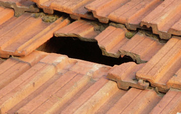 roof repair Woodmanton, Devon