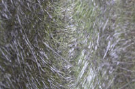 Woodmanton fibreglass roof work